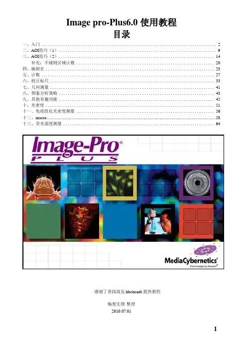 IPP使用教程