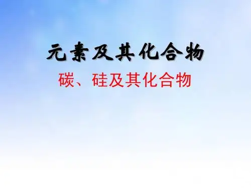 碳硅及其化合物PPT