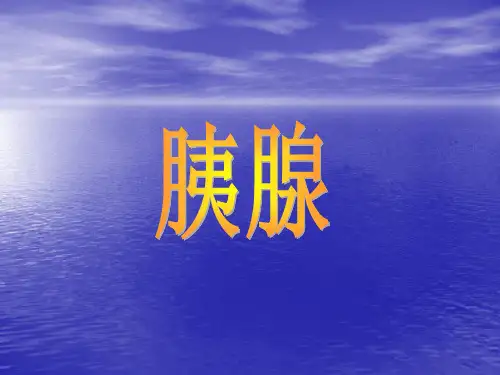 胰腺CT、MRI诊断