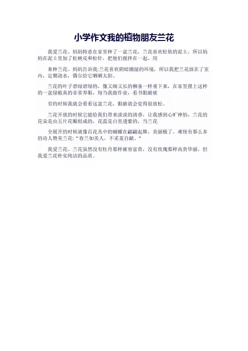 小学作文我的植物朋友兰花