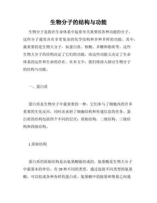 生物分子的结构与功能