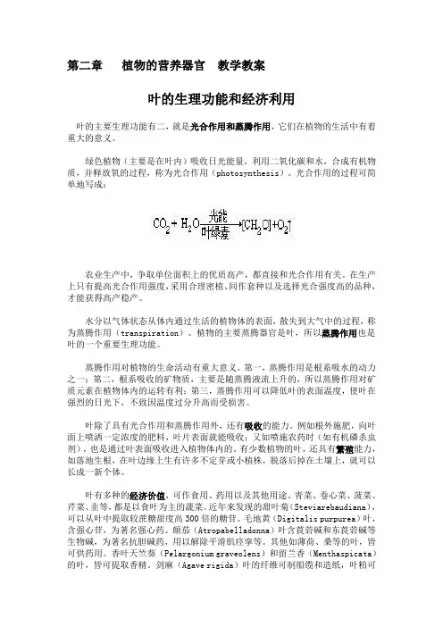 叶的生理功能和经济利用