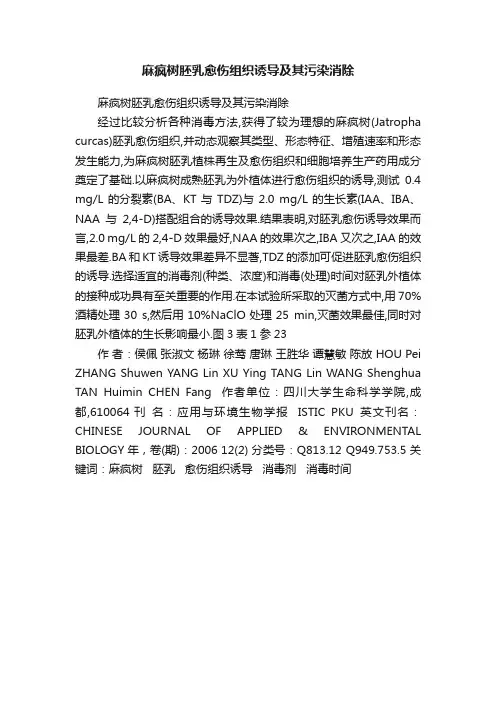 麻疯树胚乳愈伤组织诱导及其污染消除