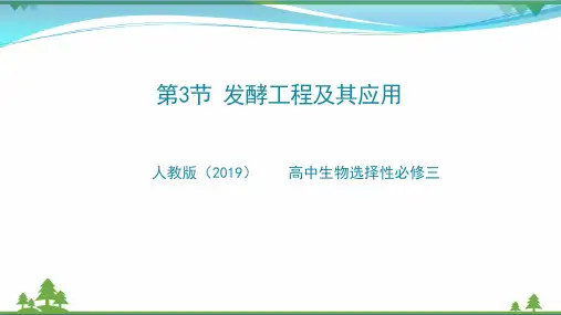 第3节  发酵工程及其应用