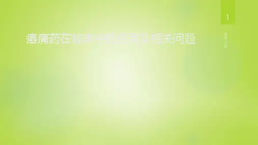止痛药在临床中相关问题PPT课件