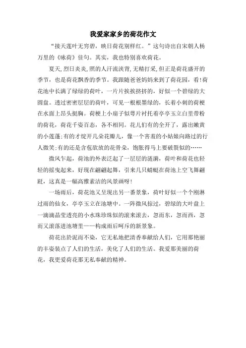 我爱家家乡的荷花作文