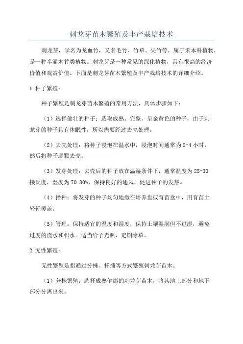 刺龙芽苗木繁殖及丰产栽培技术