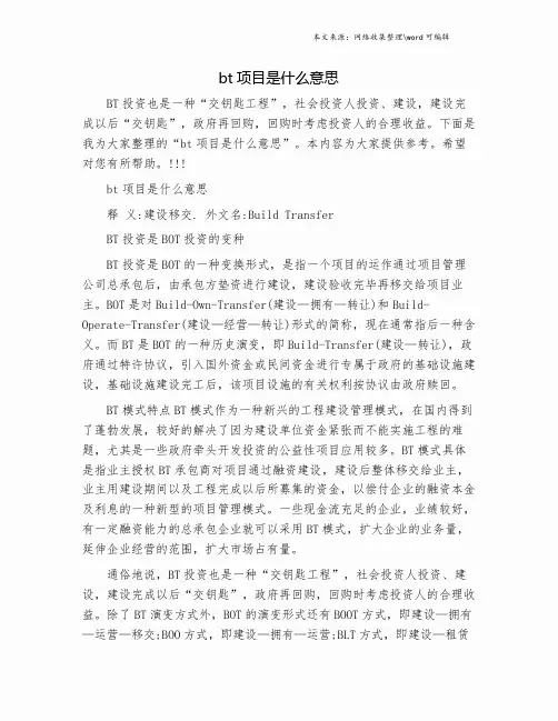 bt项目是什么意思.doc