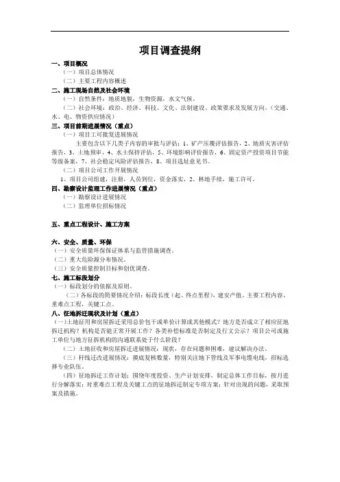 项目施工调查报告提纲-通用版