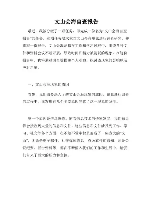 文山会海自查报告