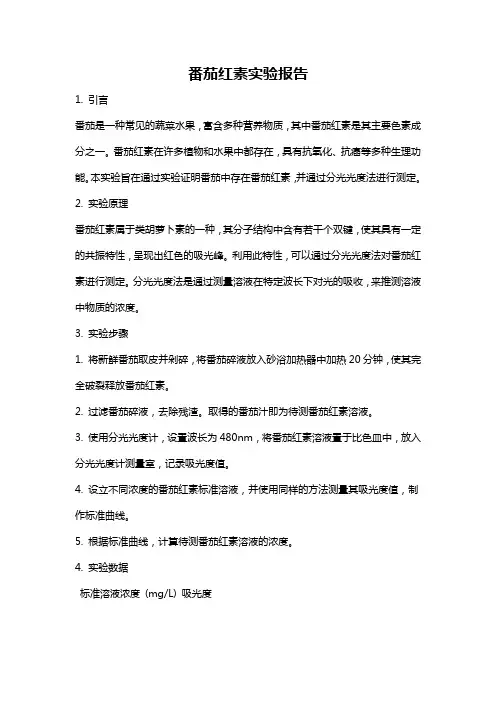 番茄红素实验报告