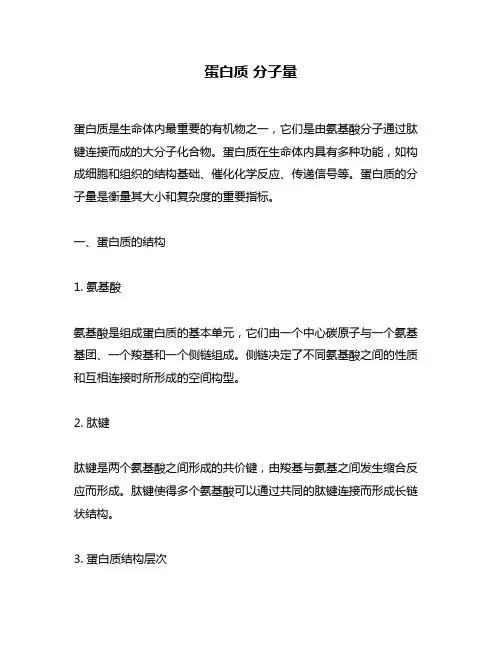 蛋白质 分子量