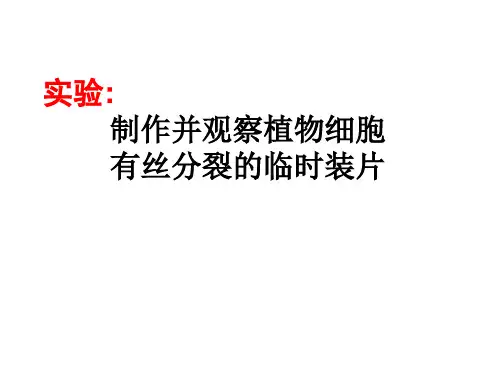 有丝分裂实验