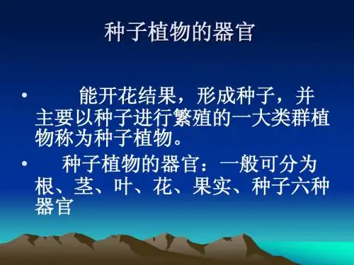 根
