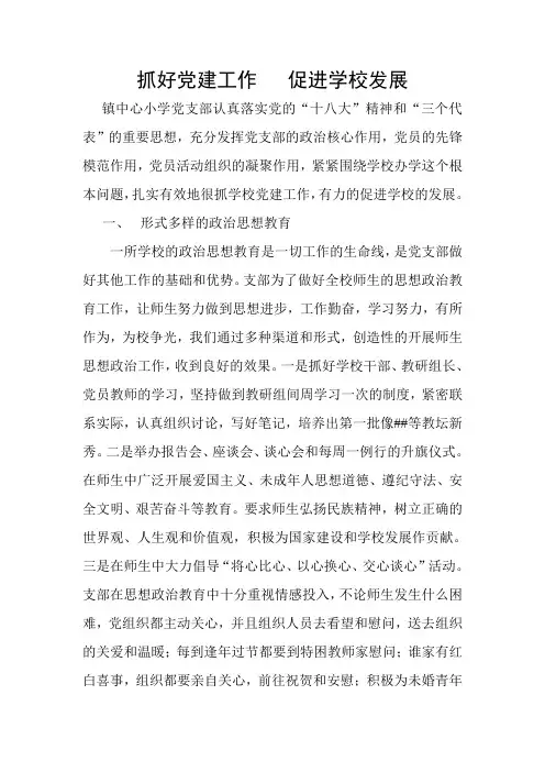 抓好党建工作   促进学校发展