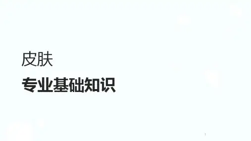 皮肤管理精品课专业基础知识PPT课件