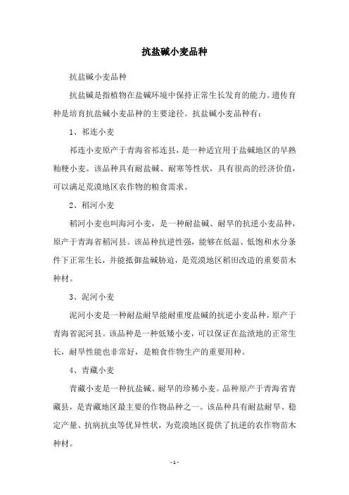 抗盐碱小麦品种