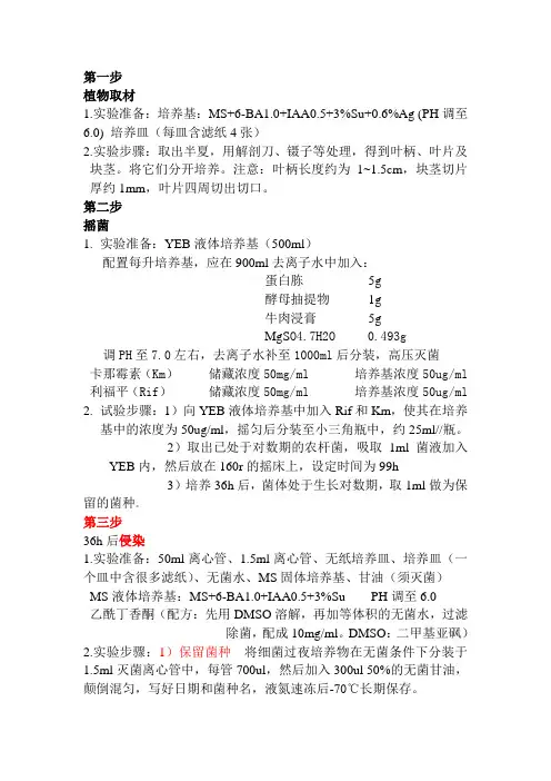 转基因遗传体系建立的步骤