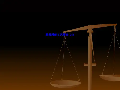 粗苯精制工艺简介 LN