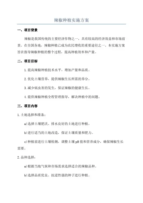 辣椒种植实施方案