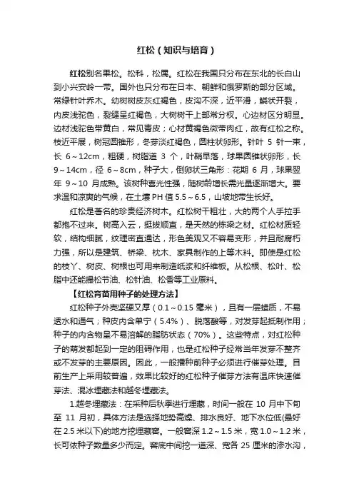 红松（知识与培育）
