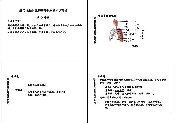 初二科学培优之空气与生命-生物的呼吸系统知识精讲