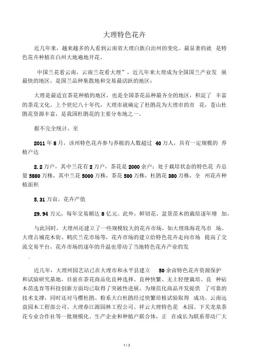 大理特色花卉