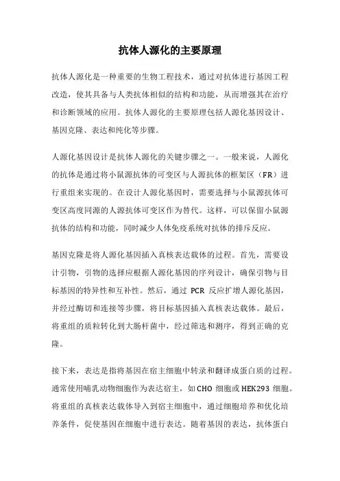 抗体人源化的主要原理