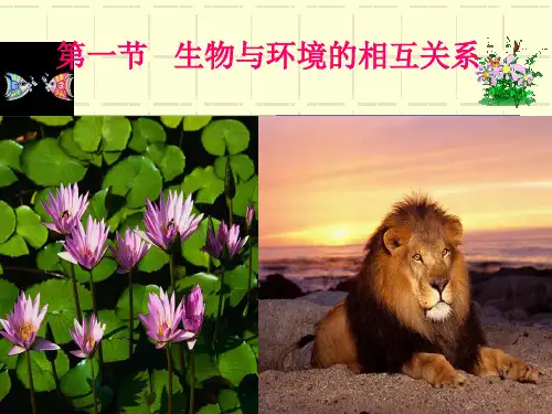浙教版九年级科学下册-生物与环境的相互关系(课件42张)