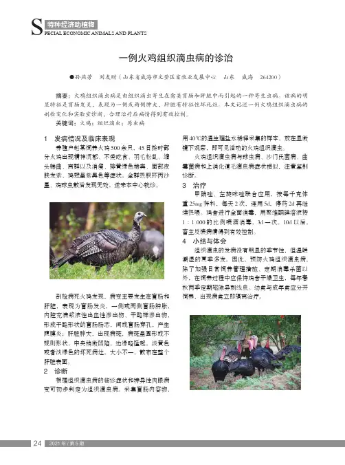 一例火鸡组织滴虫病的诊治