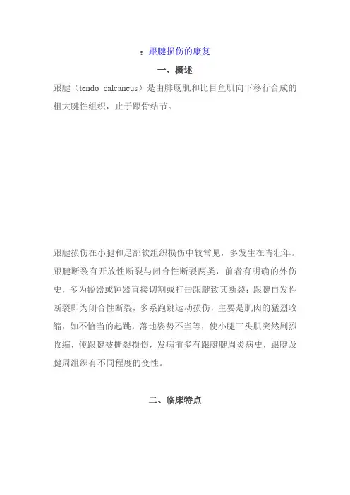 跟腱文章 (2)