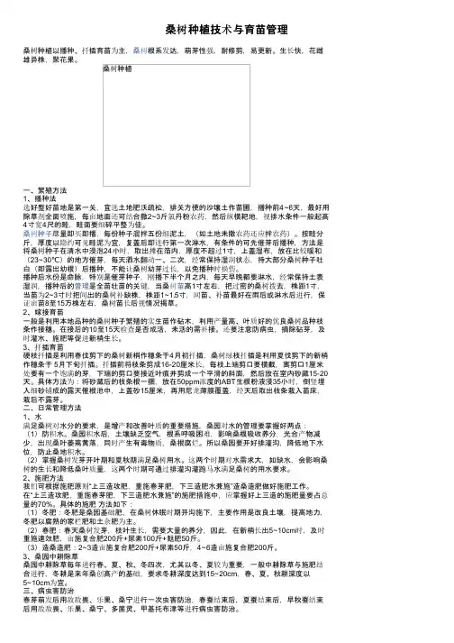 桑树种植技术与育苗管理