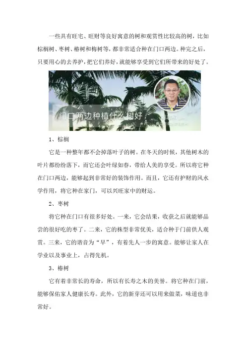 门口两边种植什么树好