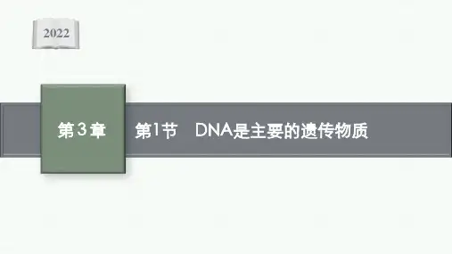 高中生物人教版(2019)必修2课件第3章第1节DNA是主要的遗传物质