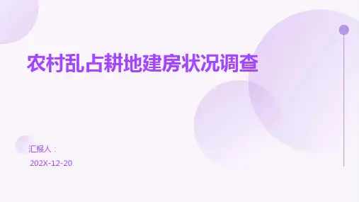 农村乱占耕地建房状况调查