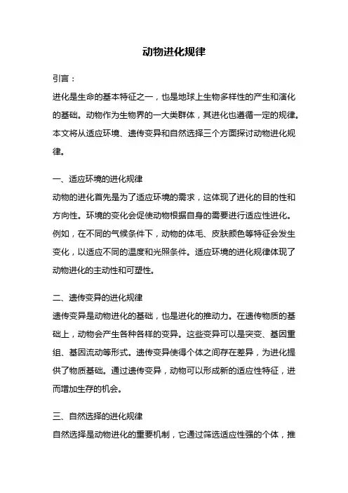 动物进化规律