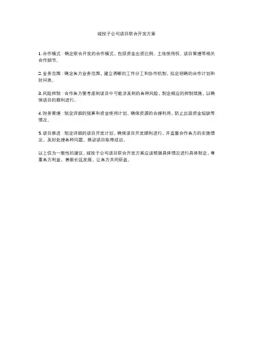 城投子公司项目联合开发方案