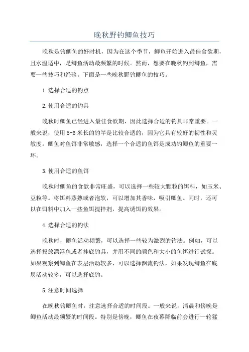晚秋野钓鲫鱼技巧