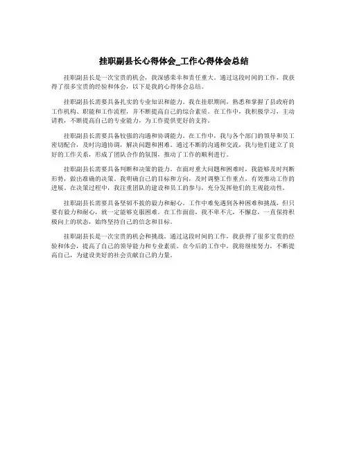 挂职副县长心得体会_工作心得体会总结