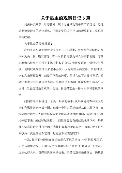 关于昆虫的观察日记6篇(精编版)