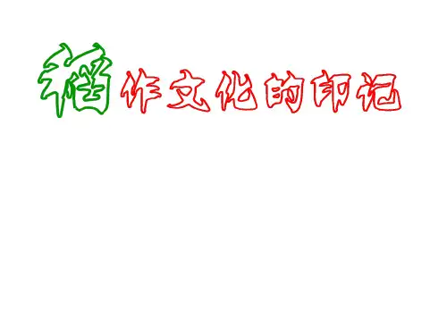 人教版七年级上册历史与社会311 稻作文化的印记(共17张)