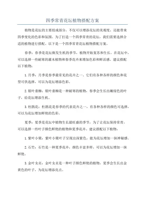 四季常青花坛植物搭配方案