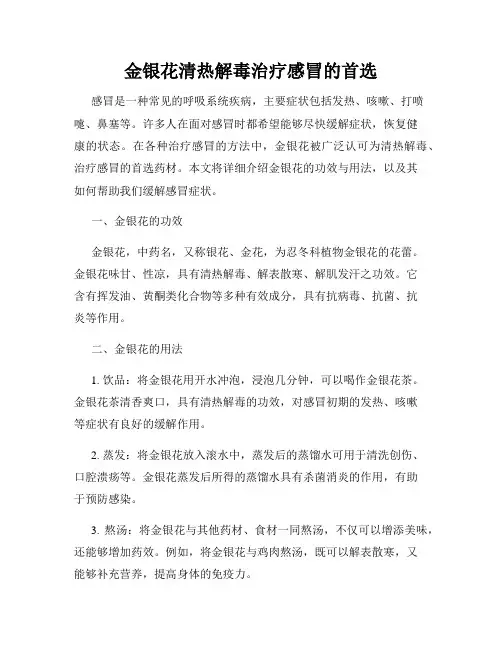 金银花清热解毒治疗感冒的首选