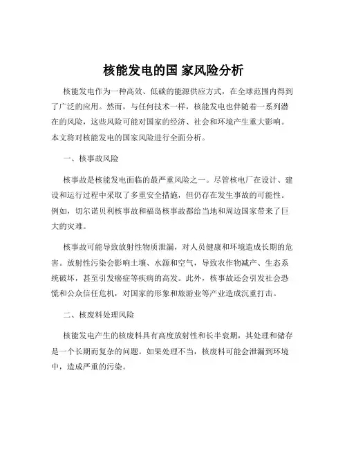 核能发电的国 家风险分析