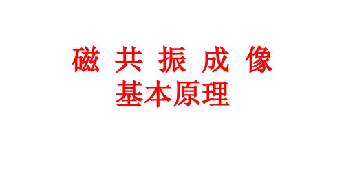 磁共振简易原理、脉冲序列及临床应用