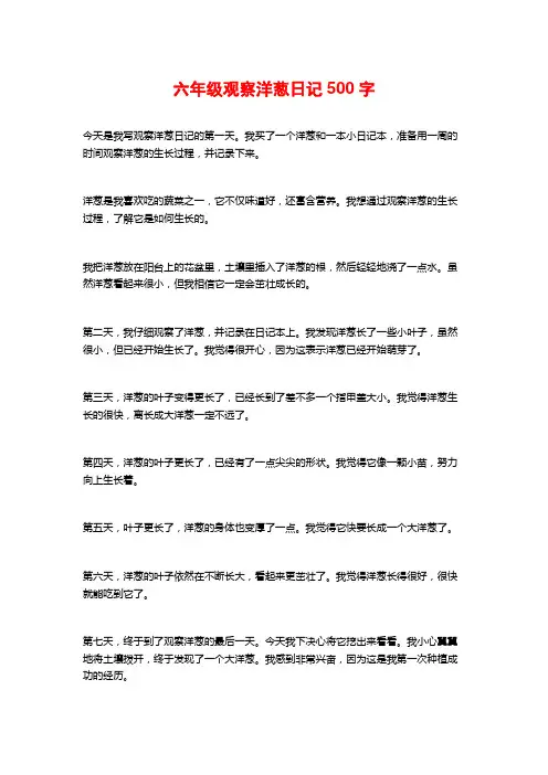 六年级观察洋葱日记500字