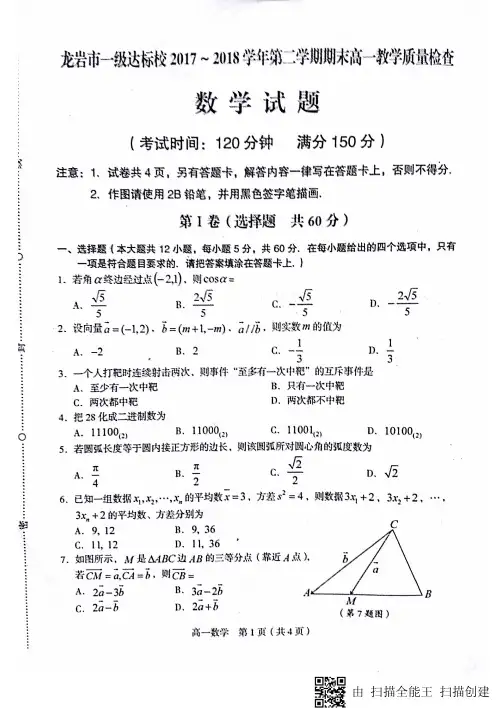 福建龙岩一级达标校高一下期期末考试数学 含答案