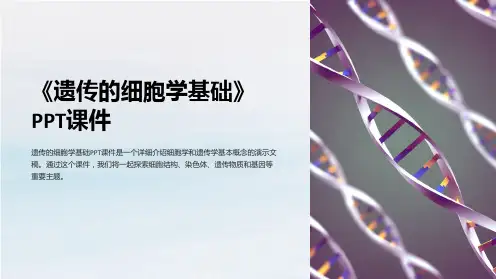 《遗传的细胞学基础》课件