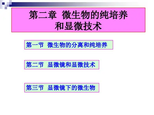 第二章--微生物的纯培养和显微技术