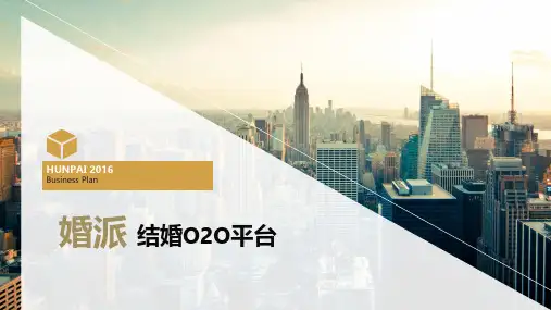 婚派商业计划书